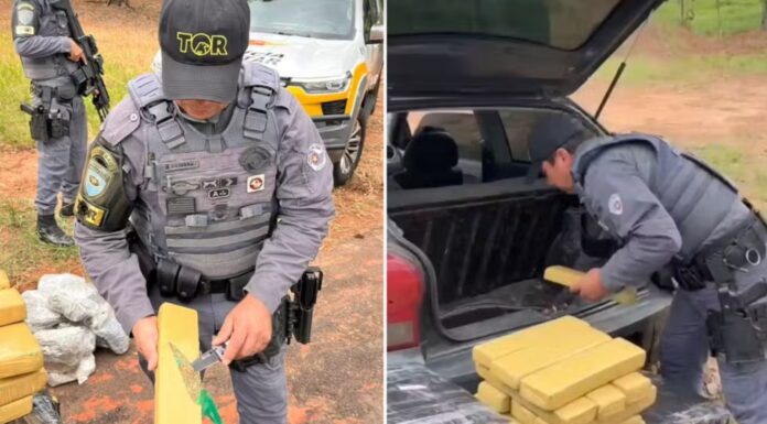 Motorista procurado pela Justiça é preso transportando mais de 260 kg de drogas no interior de SP
