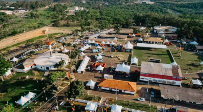 Feira internacional da carne terá mais de 500 animais, seis leilões e palestras no interior de SP