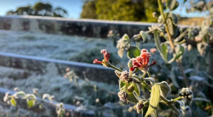 Inverno no interior de SP terá temperaturas acima da média e chuvas dentro do esperado, aponta Inmet