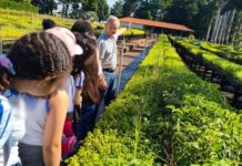 Com trilhas e gincanas, viveiro promove educação ambiental para crianças em Presidente Venceslau