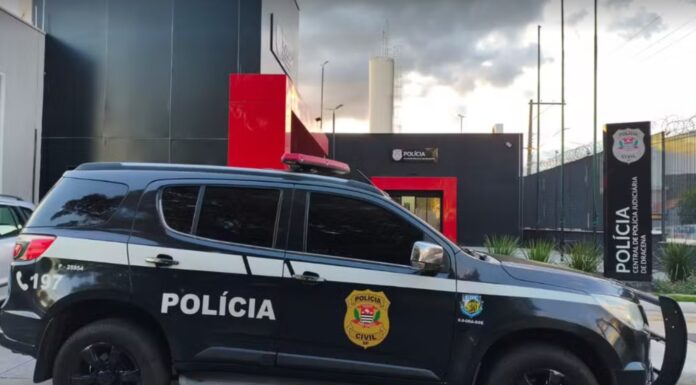 Mulher aciona a polícia por violência doméstica e é detida por maus-tratos a filhote no interior de SP