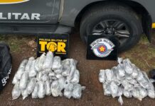 Motorista é preso ao transportar droga avaliada em R$ 2,8 milhões no interior de SP