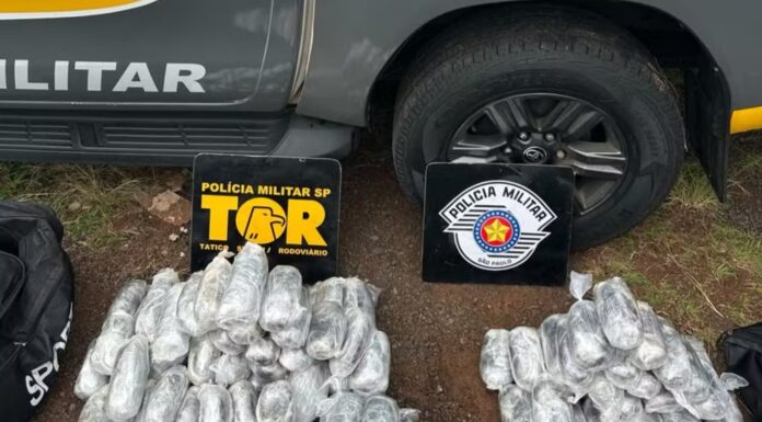 Motorista é preso ao transportar droga avaliada em R$ 2,8 milhões no interior de SP