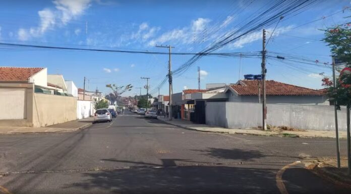 STF determina que municípios acolham animais abandonados e maltratados com base em ação movida em Catanduva