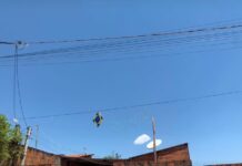 Pipas provocam interrupções no fornecimento de energia e afetam 10,5 mil clientes no interior de SP