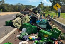 Carga de verduras e legumes fica espalhada após caminhão tombar na Raposo Tavares