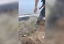 Polícia Ambiental apreende redes de pesca armadas irregularmente em lago de hidrelétrica em Presidente Epitácio