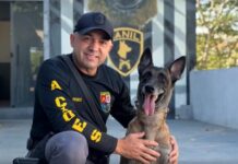 K9 Kira e policial do Baep do interior de SP representam o Brasil em ‘Olimpíada Canina’ nos EUA