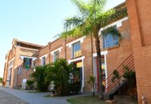 Homem é agredido a pauladas e tem pertences roubados por criminosos em Presidente Prudente