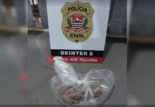 Suspeita de colocar veneno em carne e matar animais é identificada em Paulicéia