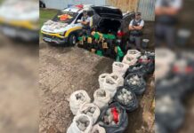 Polícia apreende quase meia tonelada de drogas na região de Presidente Prudente