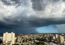 El Niño pode influenciar primavera com chuva acima da média e calor de até 39°C no interior de SP
