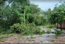Temporal provoca queda de árvores e postes e destelhamentos parciais de imóveis em Tarabai