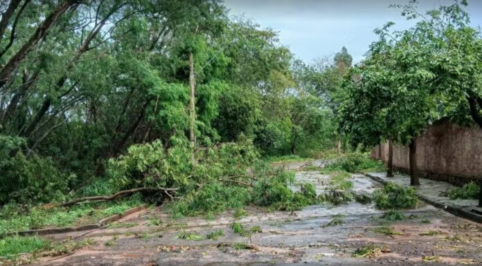 Temporal provoca queda de árvores e postes e destelhamentos parciais de imóveis em Tarabai